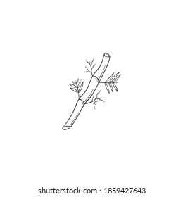 Bamboo illustration for your brand and company