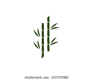 bamboo ilustration logo vector template