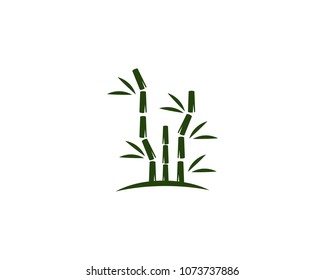bamboo ilustration logo vector template