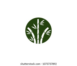 bamboo ilustration logo vector template