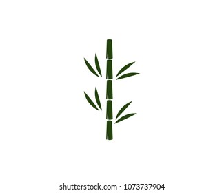 bamboo ilustration logo vector template