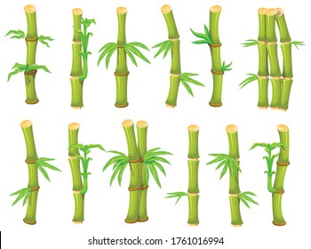 Bamboo isolated cartoon set icon. Vector illustration tree on white background. Vector cartoon set icon bamboo.