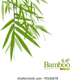 Bamboo isolated greeting card vector illustration