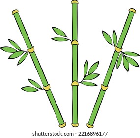 bamboo isolated on white background