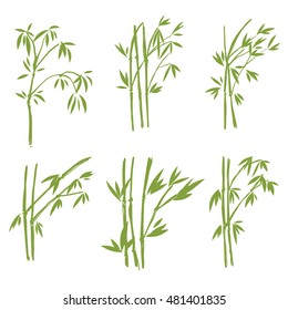Bamboo, Isolated on white background, high resolution