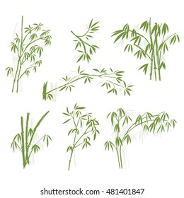 Bamboo, Isolated on white background, high resolution