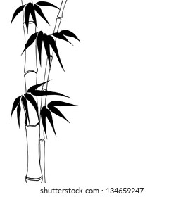 Bamboo isolated over white. Vector illustration.