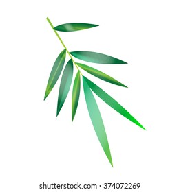 Bamboo isolated vector illustration