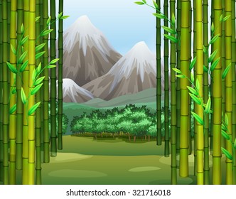 Bamboo jungle with mountains background illustration