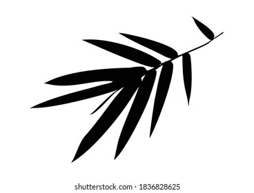 Bamboo leaf composition in design. Vector romantic landscape with bamboo trees on a white and gray background, and various attractive colors make an exclusive design