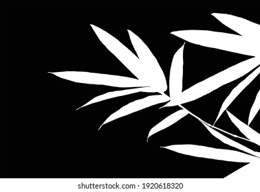 Bamboo leaf composition in design. Vector romantic landscape with bamboo trees on a white and gray background, and various attractive colors make an exclusive design