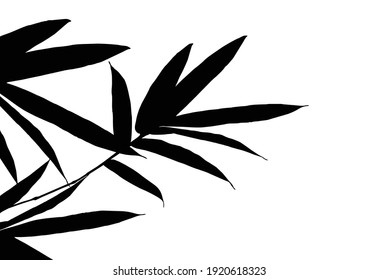 Bamboo leaf composition in design. Vector romantic landscape with bamboo trees on a white and gray background, and various attractive colors make an exclusive design