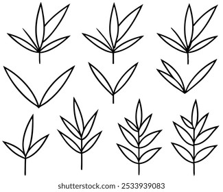 Bamboo Leaf Elegant Outline Icon