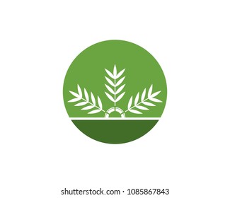 Bamboo leaf icon logo vector