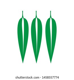 bamboo leaf icon logo vector design template