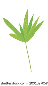 bamboo leaf icon on whtie background
