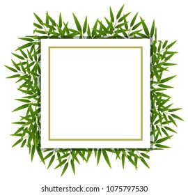Bamboo Leaf  on White Template illustration