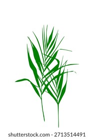 Hoja de bambú, hoja de palma, rama de árbol