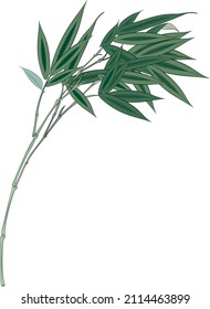 Bamboo Leaf, Bamboo Stalk vector