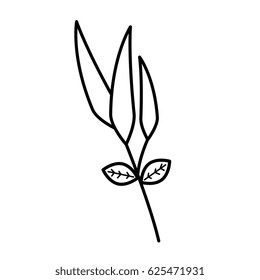 bamboo leafs isolated icon