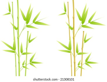 Bamboo leaves