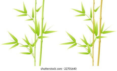 Bamboo leaves