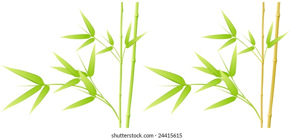 Bamboo leaves