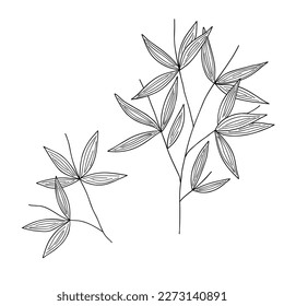 Bamboo leaves branch simple linear style vector outline illustration, traditional japanese plant, oriental decorative ornament for design, greeting card, template, banner, zen concept