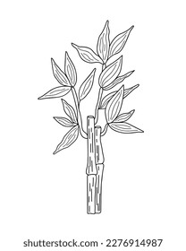 Bamboo leaves branch simple linear style vector outline illustration, traditional japanese plant, oriental decorative ornament for design, greeting card, template, banner, zen concept