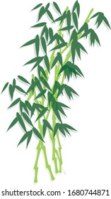 
Bamboo bamboo leaves chinese plant