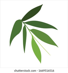 hojas de bambú diseño plano vectorial