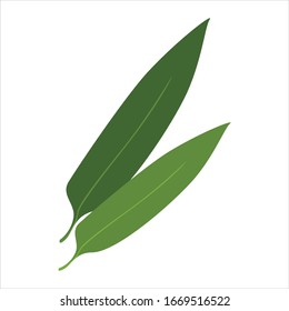 bamboo leaves flat vector design