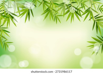 Bamboo Leaves Frame Background with Soft Bokeh Lights and Zen Green Texture. Vector illustration