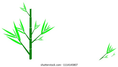 Bamboo leaves and bamboo green Is on a white background. Vector image