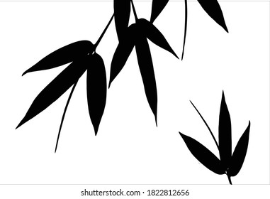 Bamboo leaves, isolated on background, Black and white bamboo leaves