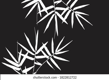 Bamboo leaves, isolated on background, Black and white bamboo leaves