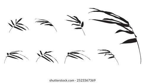 Bamboo leaves on white background isolated. Vector illustration line art drawing. Botanical hand drawn element. Black and white element.