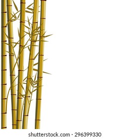bamboo with leaves on white background 