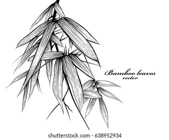 Bamboo leaves scene vector silhouette on a white background