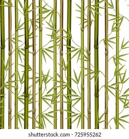 Bamboo With Leaves Seamless Pattern. Fence, Texture Wallpaper, Fabric .Vector Illustration.