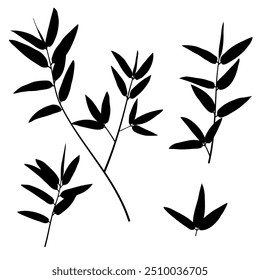 bamboo leaves silhouette collection. plant branch