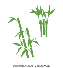 Bamboo leaves silhouette vector icon isolated on white background. Bamboo green logo