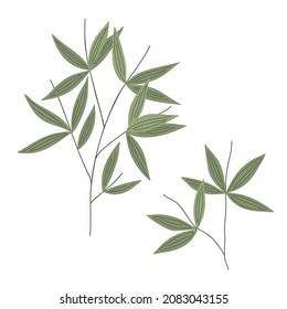 Bamboo leaves simple flat style vector illustration, traditional japanese plant, oriental decorative ornament for design, greeting card, template, banner, zen concept