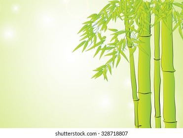Bamboo in light green background