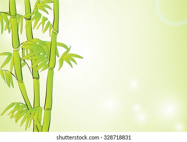 Bamboo in light green background