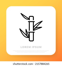 Bamboo line icon. Plant care. Plants of asia. Grean peace. Ecology concept. Vector line icon for Business and Advertising.