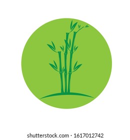 Bamboo logo template. Green bamboo trees vector design.