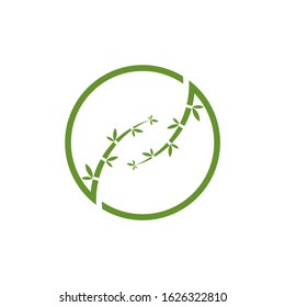 Bamboo logo template. Green bamboo trees vector design. Bamboo stem logotype