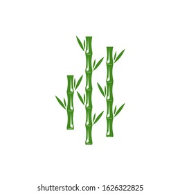 Bamboo logo template. Green bamboo trees vector design. Bamboo stem logotype