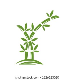 Bamboo logo template. Green bamboo trees vector design. Bamboo stem logotype